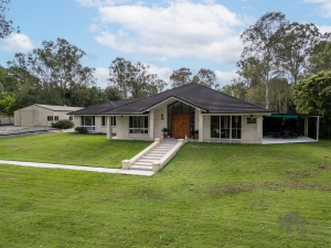 DREAMS REALLY ARE FREE