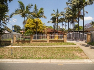RENOVATORS DELIGHT